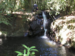 Fonte natural de água