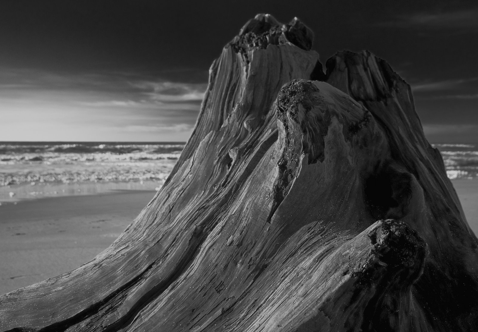 [CA+driftwood-0140+copy+2.jpg]