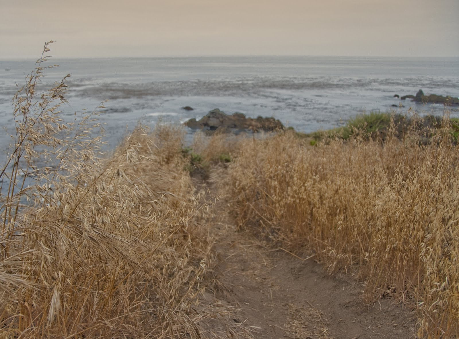 [big+sur+path+(1+of+1).jpg]