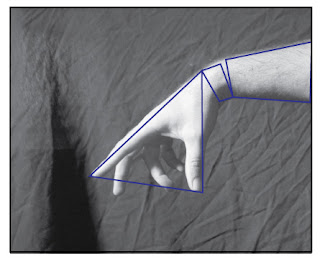 The big underlying shapes of this hand.
