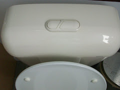 2 types of flushes - small and large for water conservation
