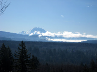 taylor mountain forest hikingwithmybrother