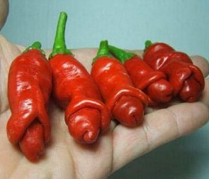 [peter+peppers+1.jpg]