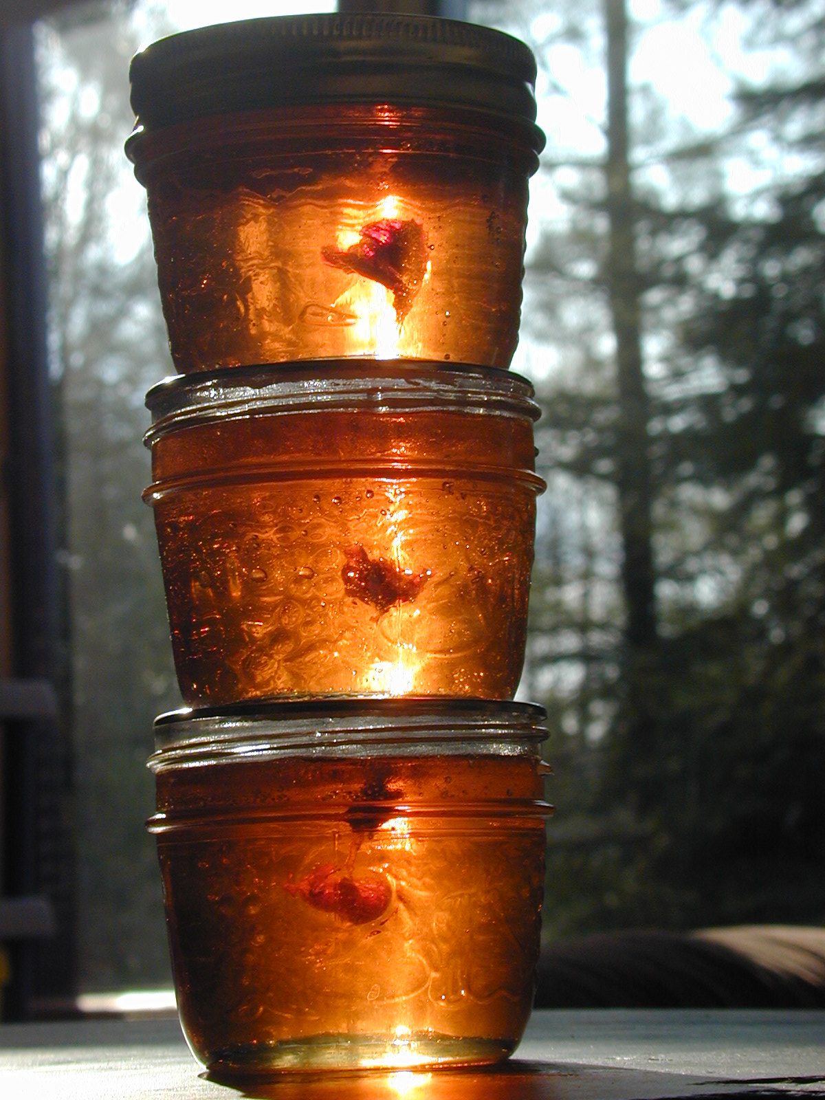 Savoirfaire à conserver Le printemps en pot mason... Pour saliver un peu!