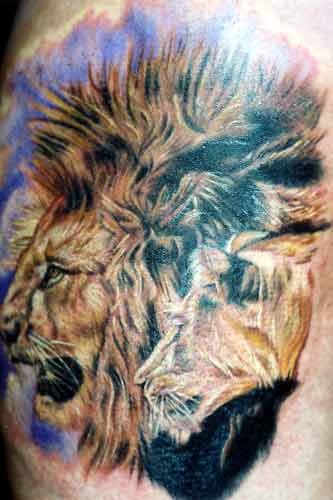 Opaque Tattoo Print Pantyhose Lion 