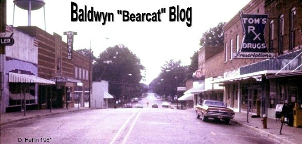 Baldwyn Bearcat Blog