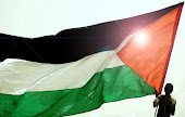 FREE Palestine