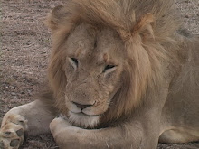 he seamed bored and thankfully not hungry