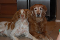 Ozzie & Cooper