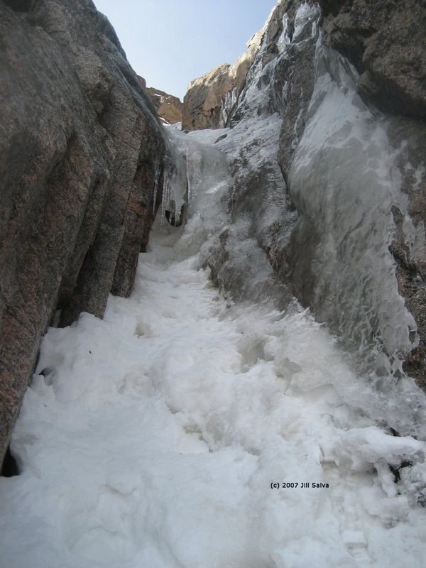 [Mixed+Climbing+on+Dreamweaver.jpg]