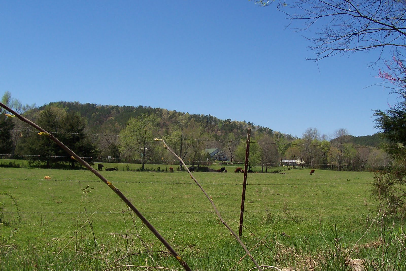 Big Fork, Arkansas The Goss FamilyEarly Settlers