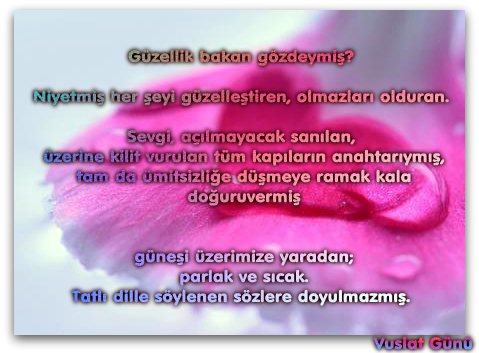 Vuslat Günü: Ocak 2011