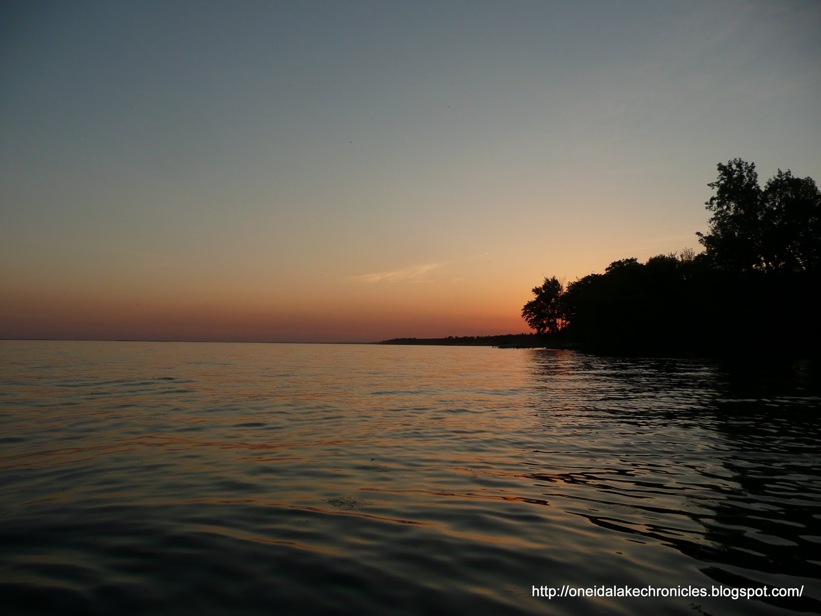 Oneida Lake Chronicles May 2010