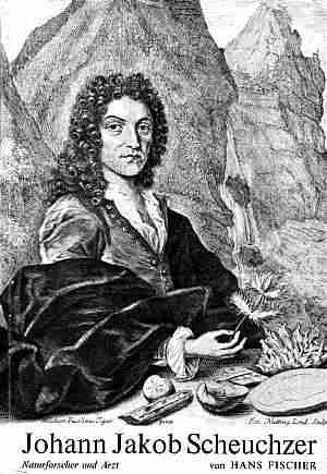 [Scheuchzer.jpg]