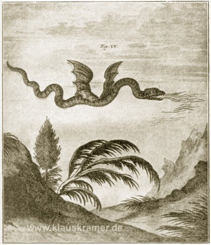 [Pilatusdrache_Scheuchzer.jpg]