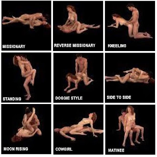 Sex Positions Pics Xxx 61