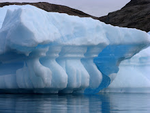 Iceberg in Nordvest Fjord, Scorsebysund