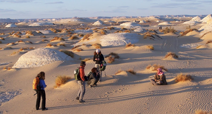 Desierto montikuloso