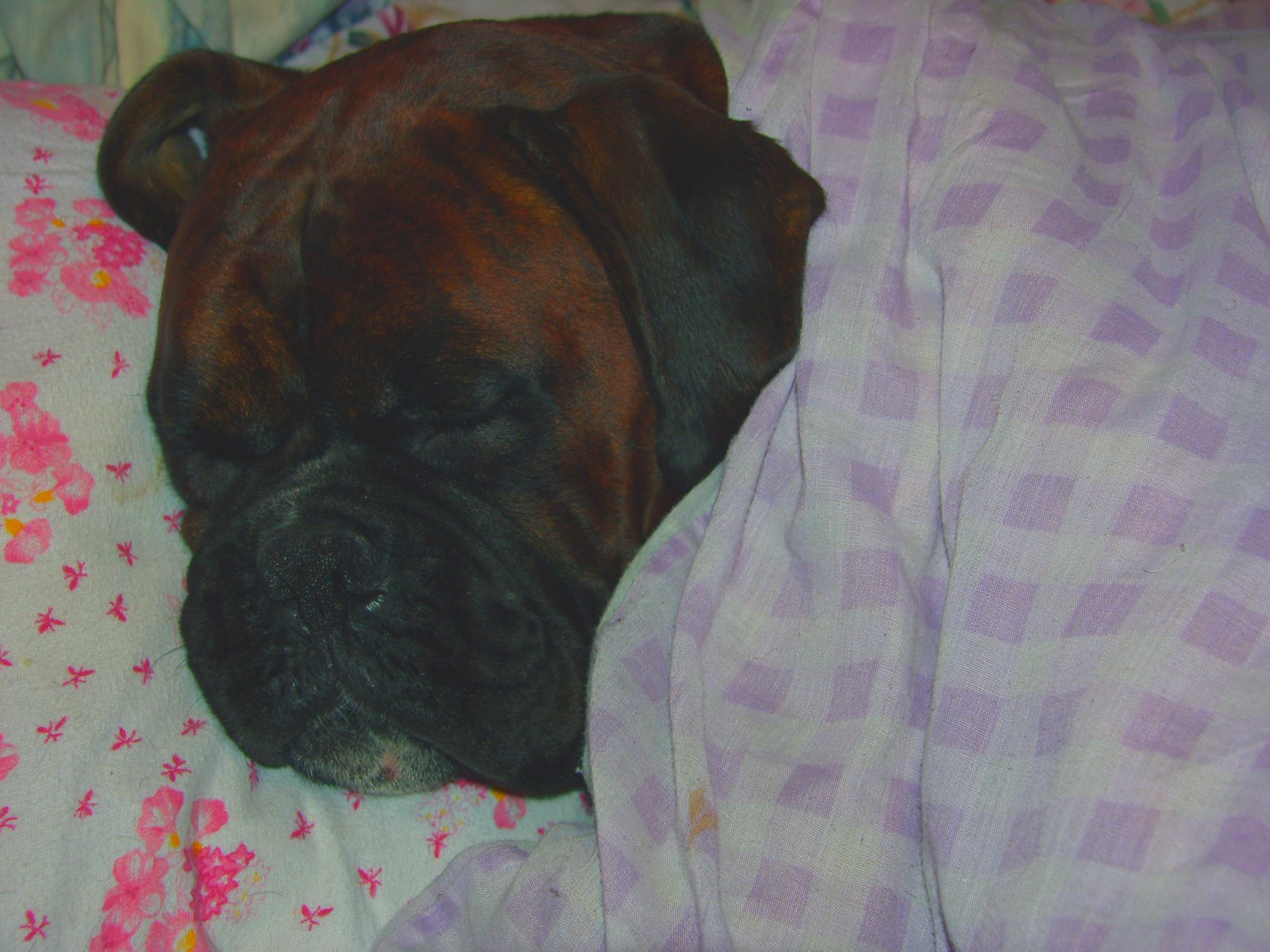 [lennon+kips+(4).JPG]