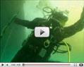 A Very Disturbing Video of a Dive Under the Surface of the Spill