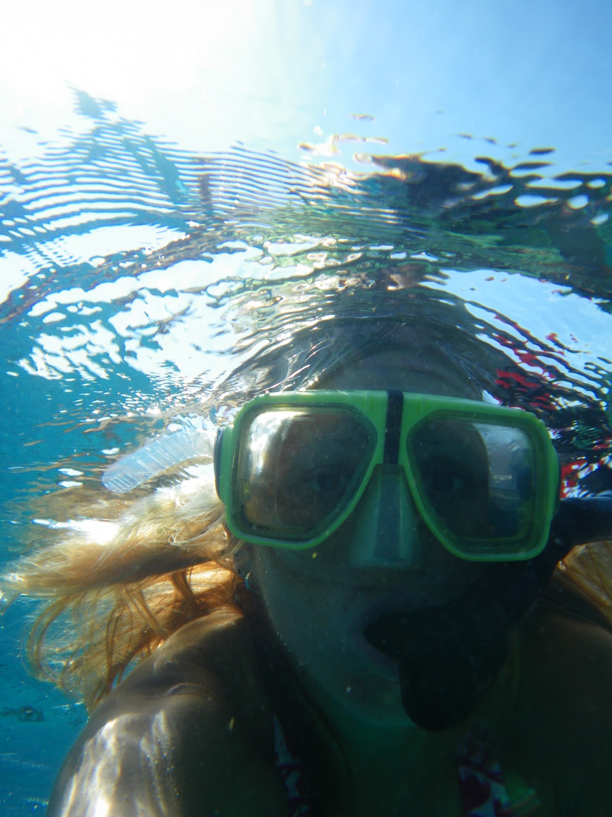 the world of cherie Caye Caulker Snorkeling!
