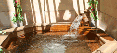 [DHS2.gif]