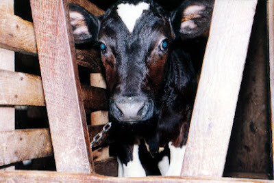 Cãibras corporais o tempo todo