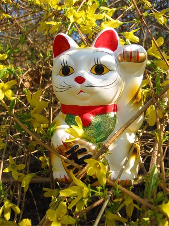 [gato_maneki_neko.jpg]