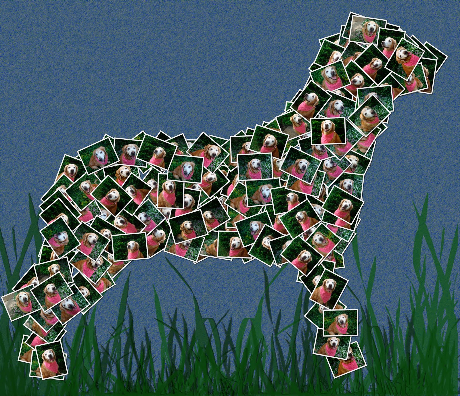 Definition Bandana Golden Woofs