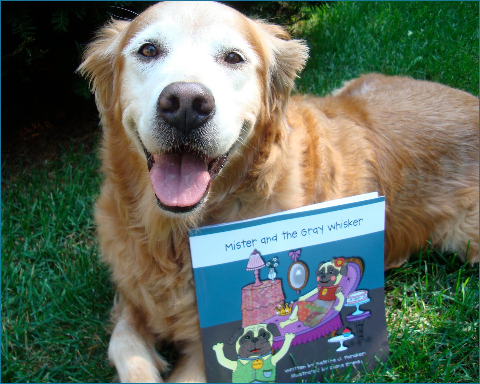 Book Review Mister and The Gray Whisker + Interview With Author