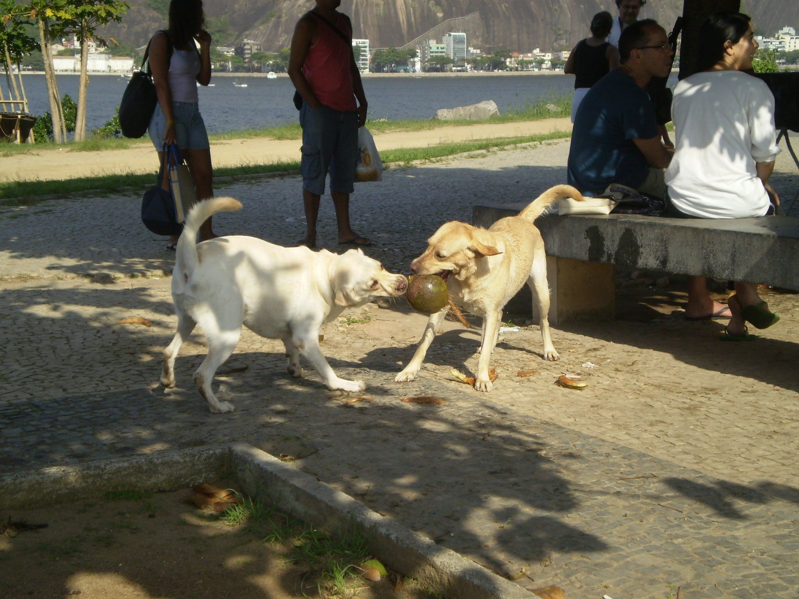 [Meu+aniversario+036.jpg]