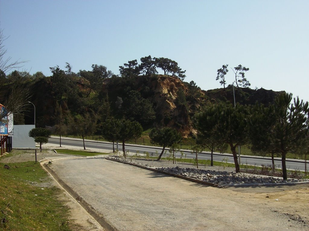 [Jardim+D.Manuel+I+(1).JPG]