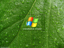 Windows Vista HD Wallpapers 21 Images, Picture, Photos, Wallpapers