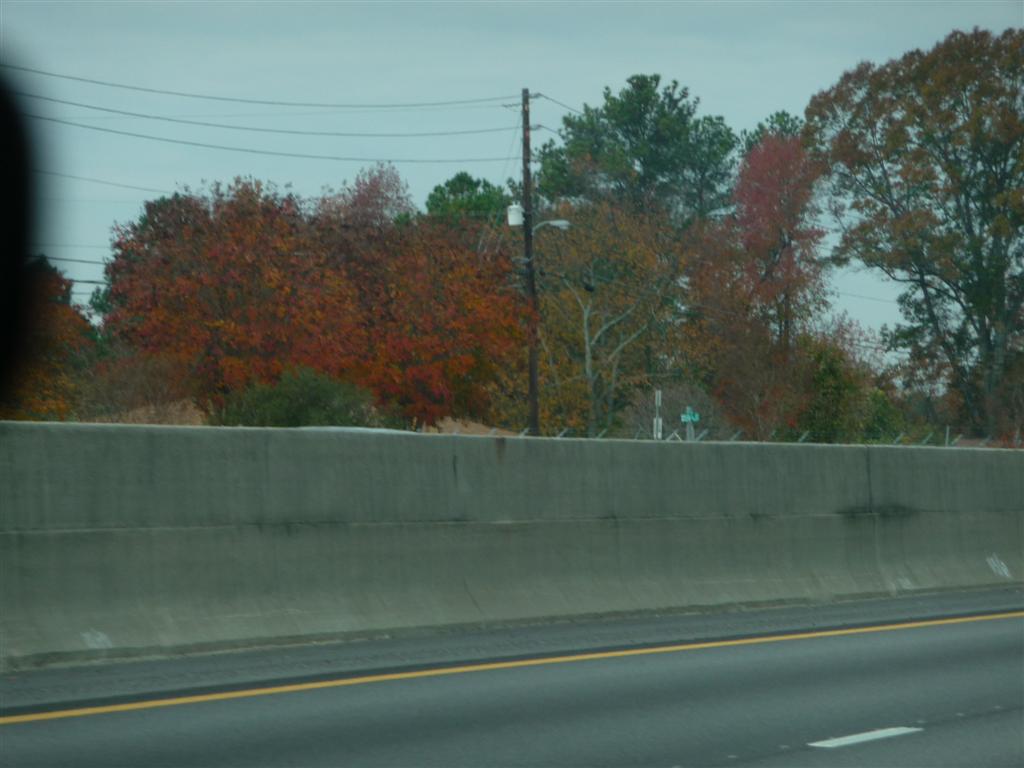 Skid and Sandy On The Road Augusta to Scottsboro Alabama