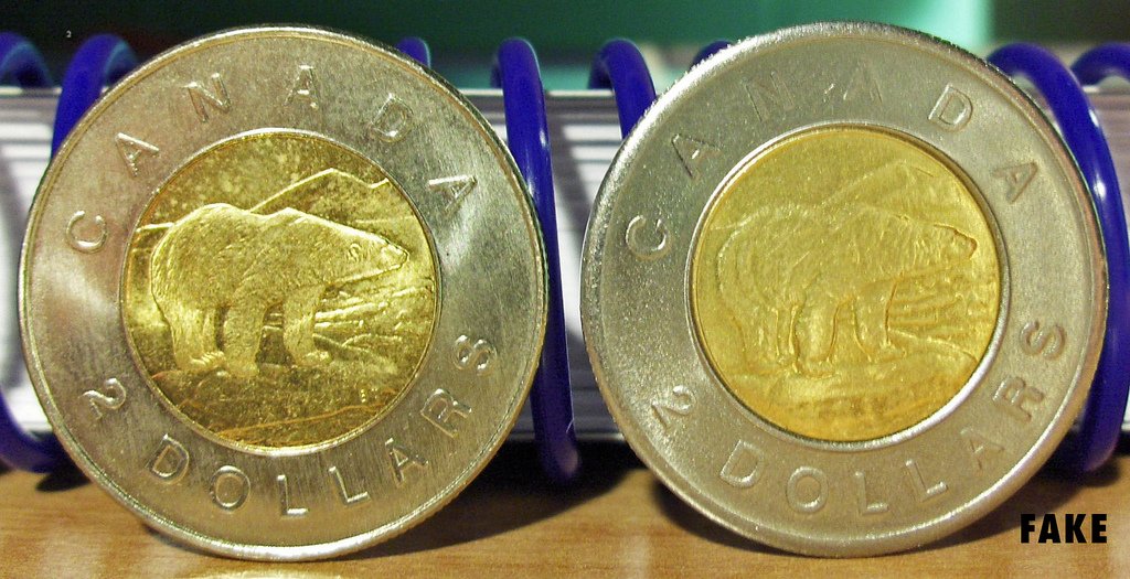 The Canadian two dollar coin, affectionately referred to as a "toonie".