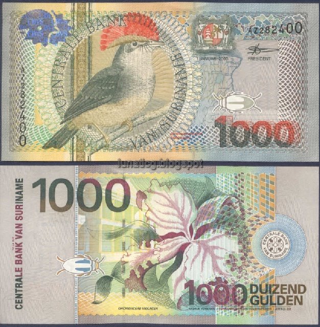 [suriname+banknote-1000+gulden.jpg]