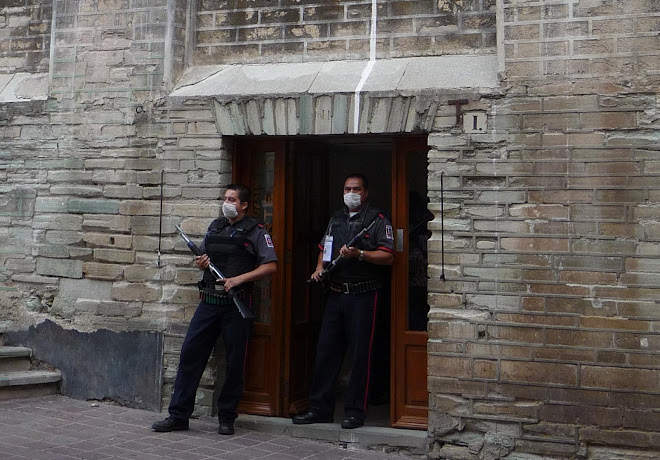 aixi es viu l'influenza a guanajuto