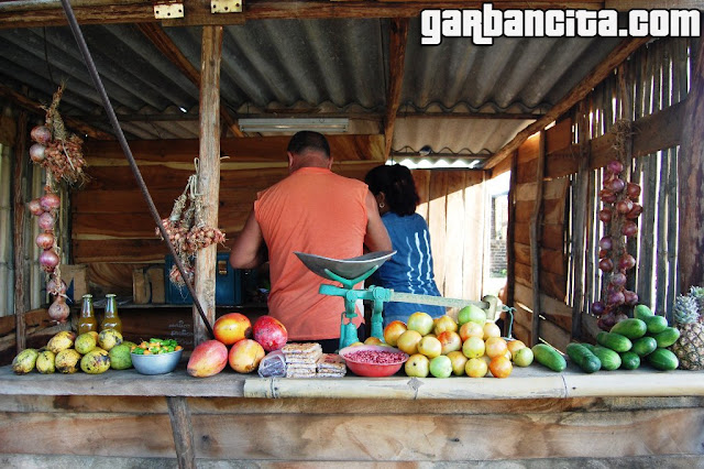 Puesto ilegal de frutas y hortalizas en el arcén de la carretera