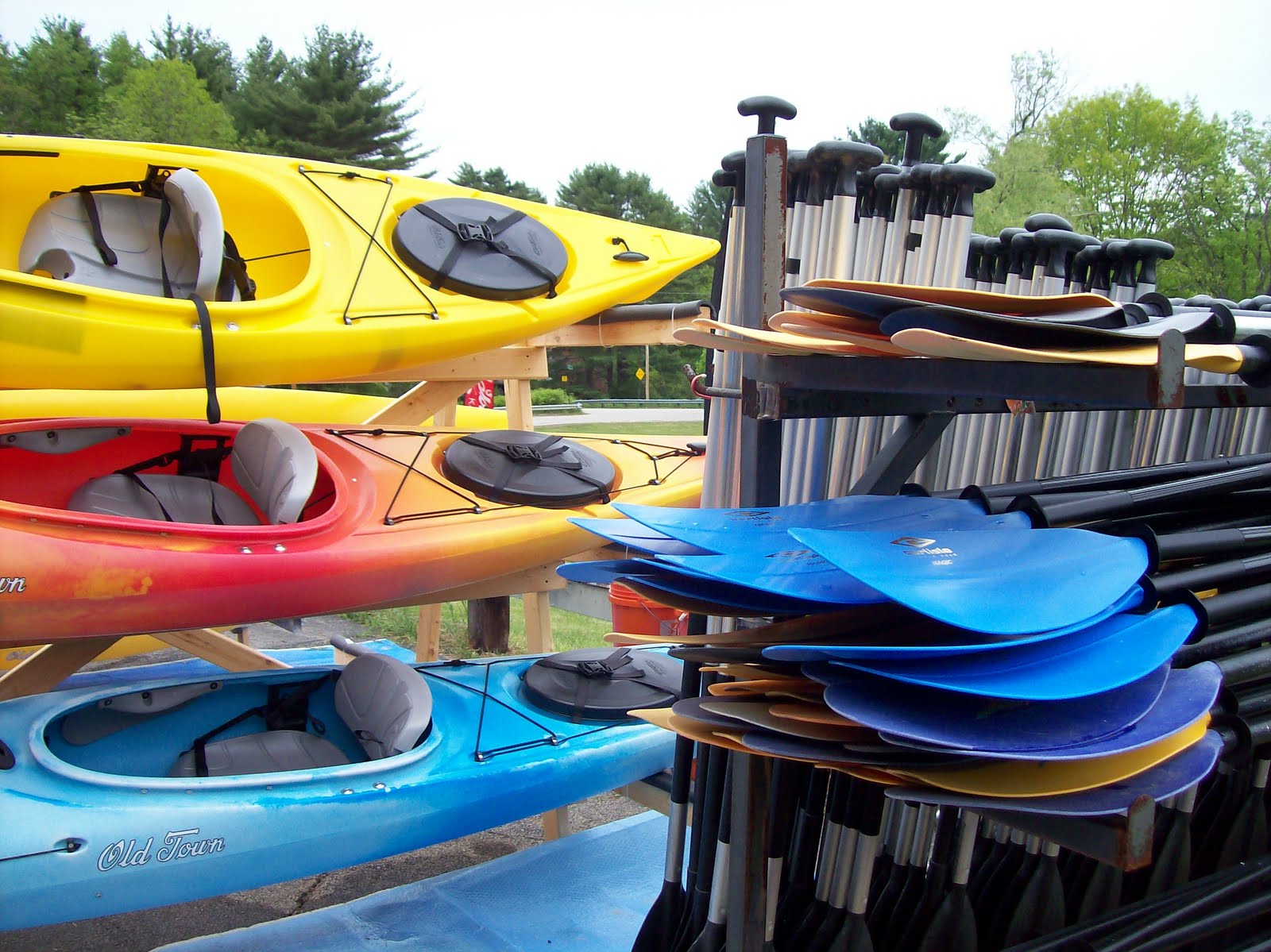 New Hampshire...Love it or Leaf it April 2010