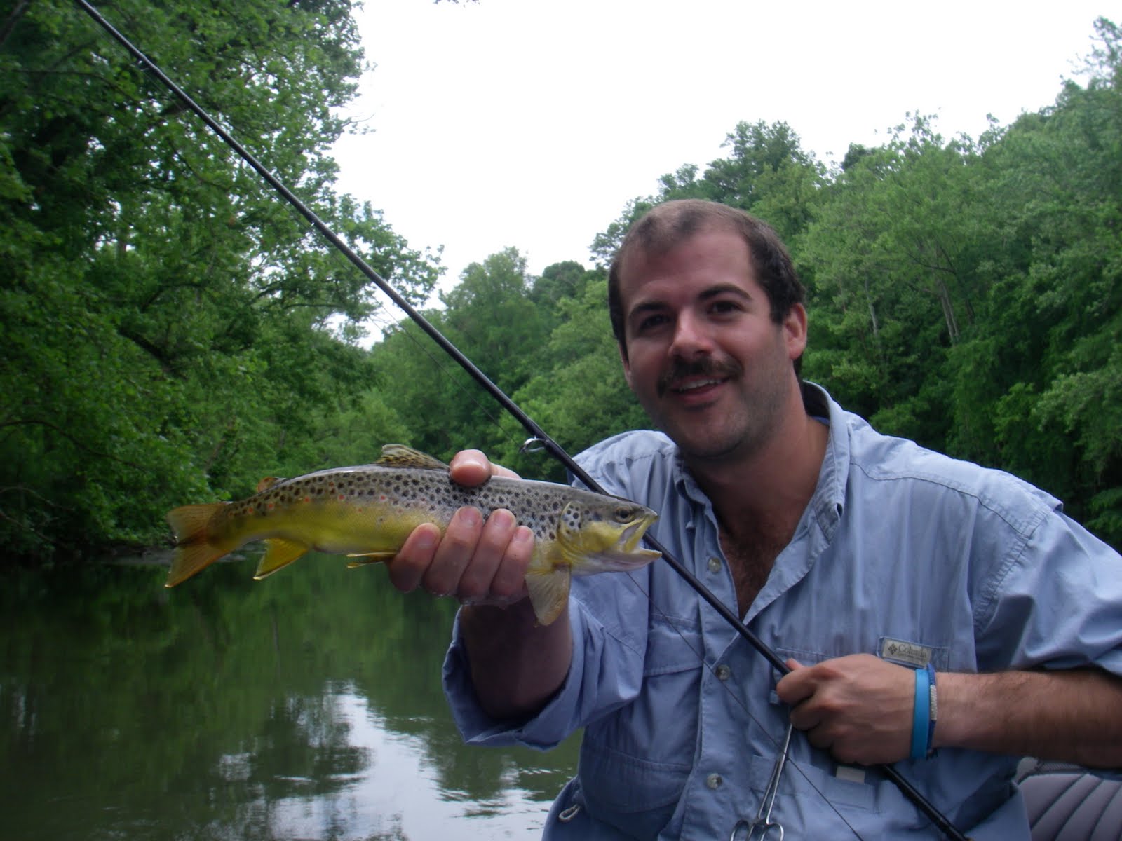 Brown Trout Fly Fishing Watauga River Streamer Fishing