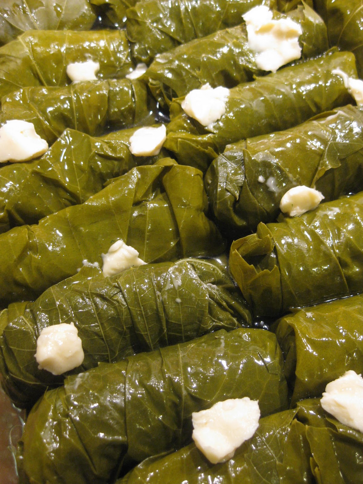 Food Snobbery is my Hobbery Persian Stuffed Grape Leaves