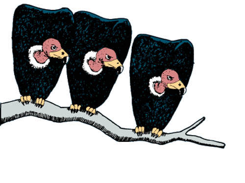 [vultures.jpg]