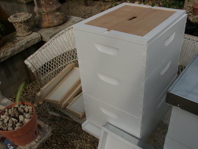 Bee hives in greenhouse