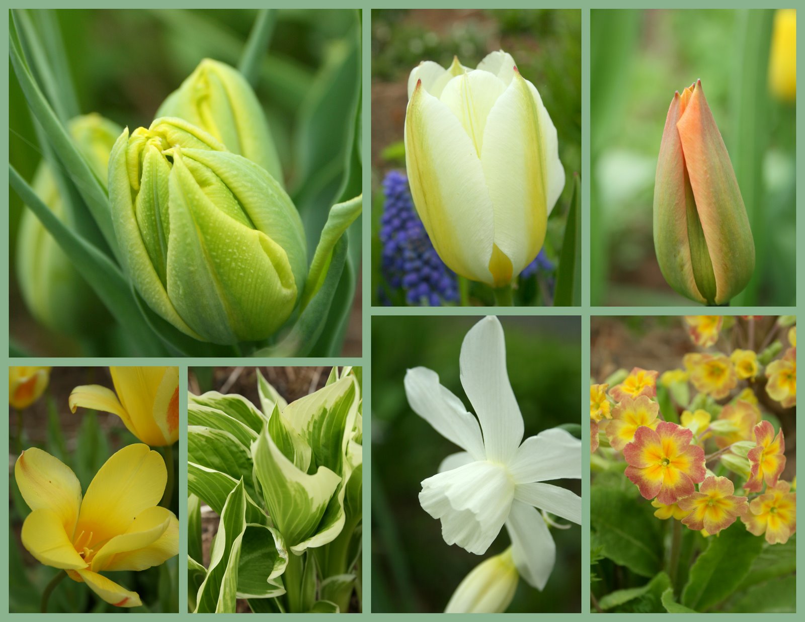 Aiken House & Gardens: Spring Colors