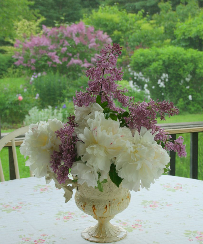 [IMG_1867-725474.JPG]