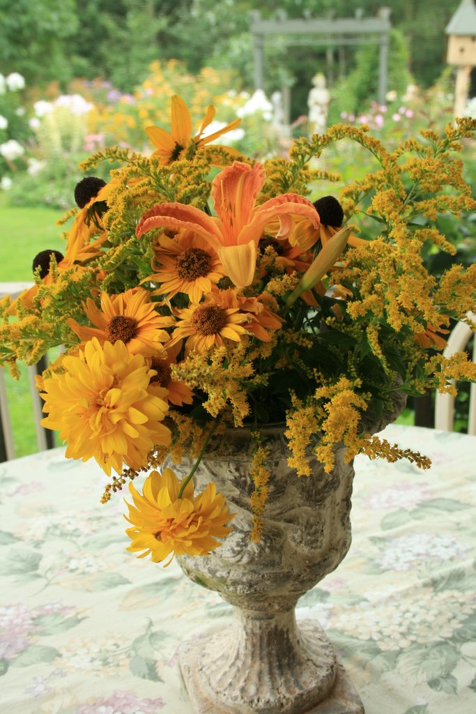 [IMG_5957-726738.jpg]