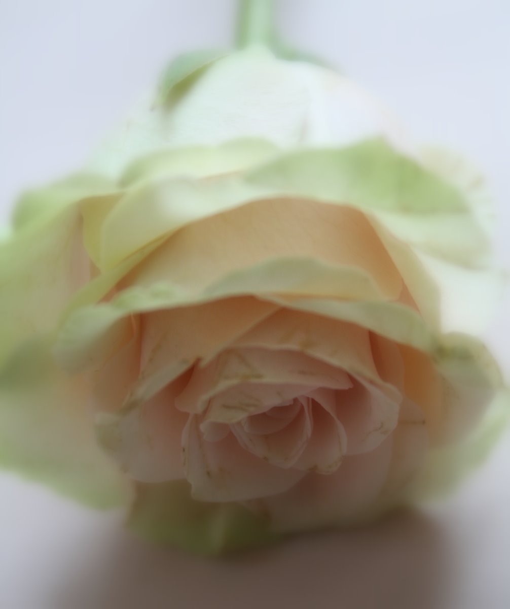 [IMG_7009-736844.jpg]