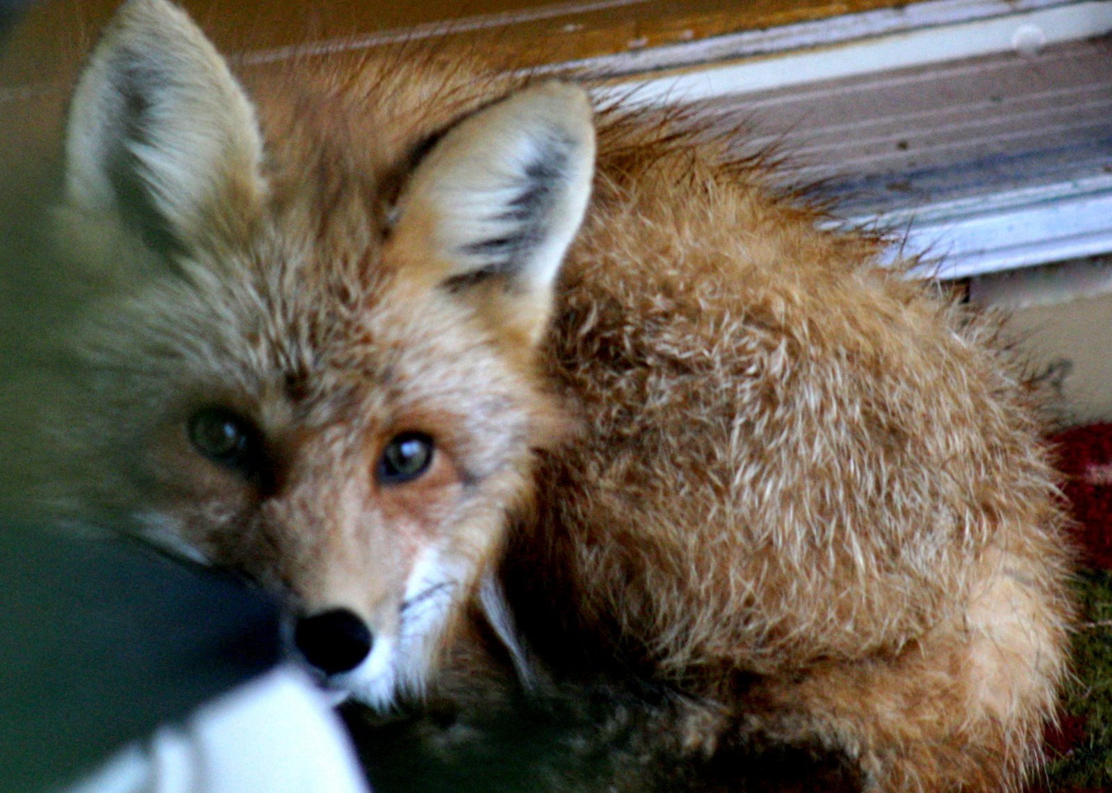 [IMG_8304-700707.JPG]