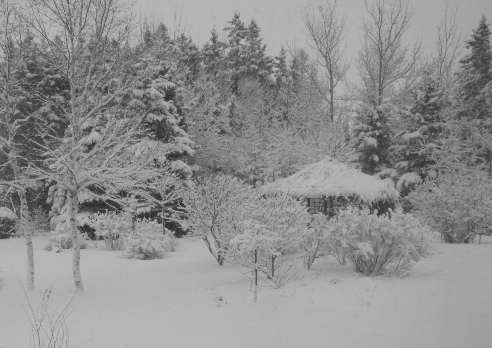 [IMG_8671-789233.JPG]