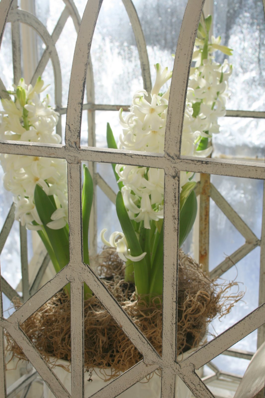 [IMG_8955-739733.jpg]